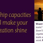 5 Leadership Capacities That Will Make Your Organization Shine