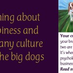 Learning About Happiness and Company Culture from the Big Dogs