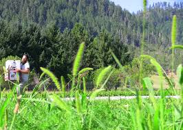 Ashland Food Co-op Farmer in the Field