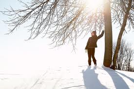 Winter Meditation in Snow with Tree