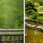 Contemplative Girl at Forest Bridge with Stone Path over Creek Diptych