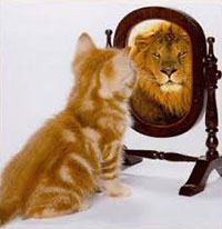 Lion in the Mirror