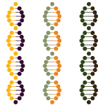 Multicolored DNA Infographic