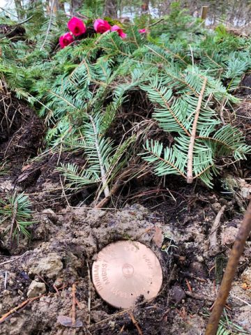 Gravestone Marker at The Forest