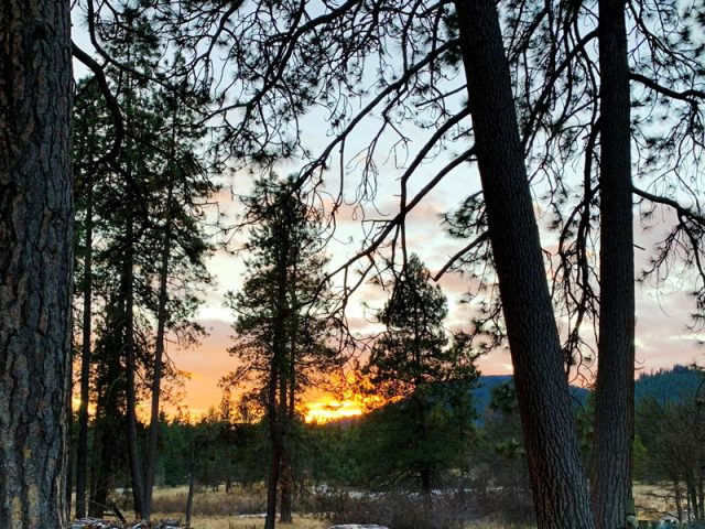 Sunset Burial at The Forest