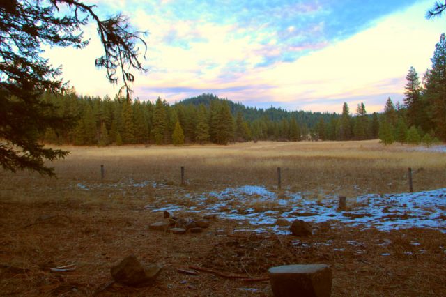 The Forest, Vista Plot, The Meadow