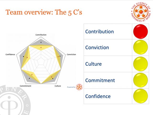 iOpener iPPQ Report Team Overview: 5 C's