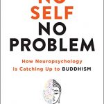 No Self No Problem Book Cover