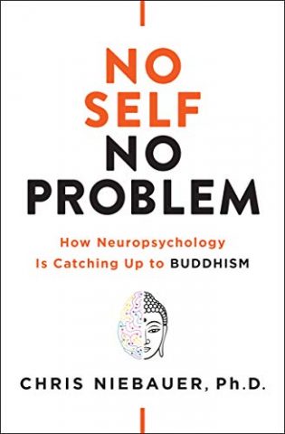 No Self No Problem Book Cover